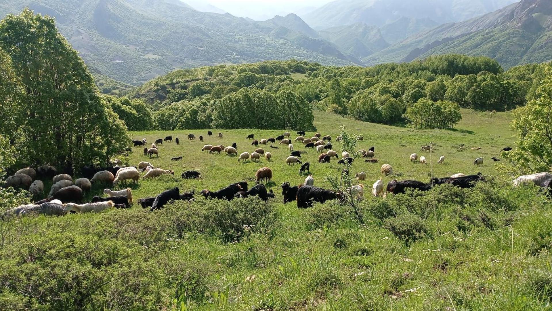 Askireg Hotel Tunceli Exterior photo